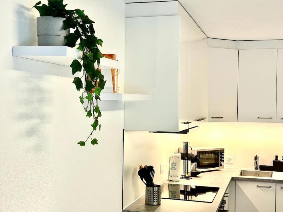 Casa Ambizione Apartamento Dietikon Exterior foto